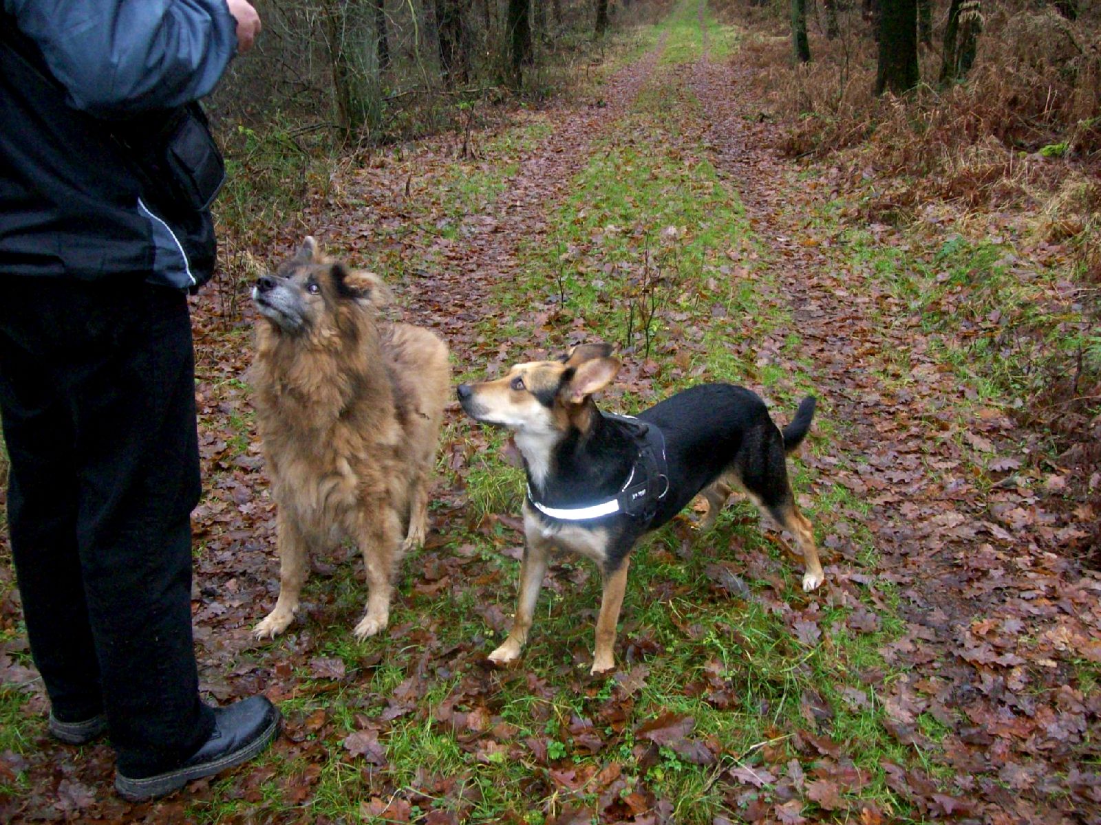 Shari und Madre 119.jpg
